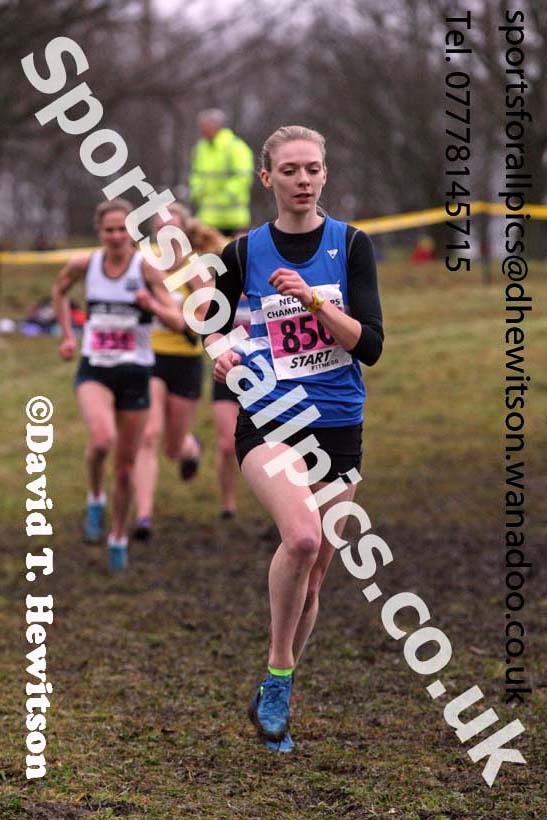 Senior womens North Eastern Cross Country, Aykley Heads, Durham. Photo: David T. Hewitson/Sports for All Pics